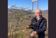 “Fındığın geleceği sigortasız olmaz”