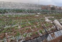 TARSİM’de prim oranları belli oldu