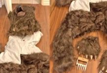 Ayı kostümüyle hasar verip sigortadan para almaya çalıştılar